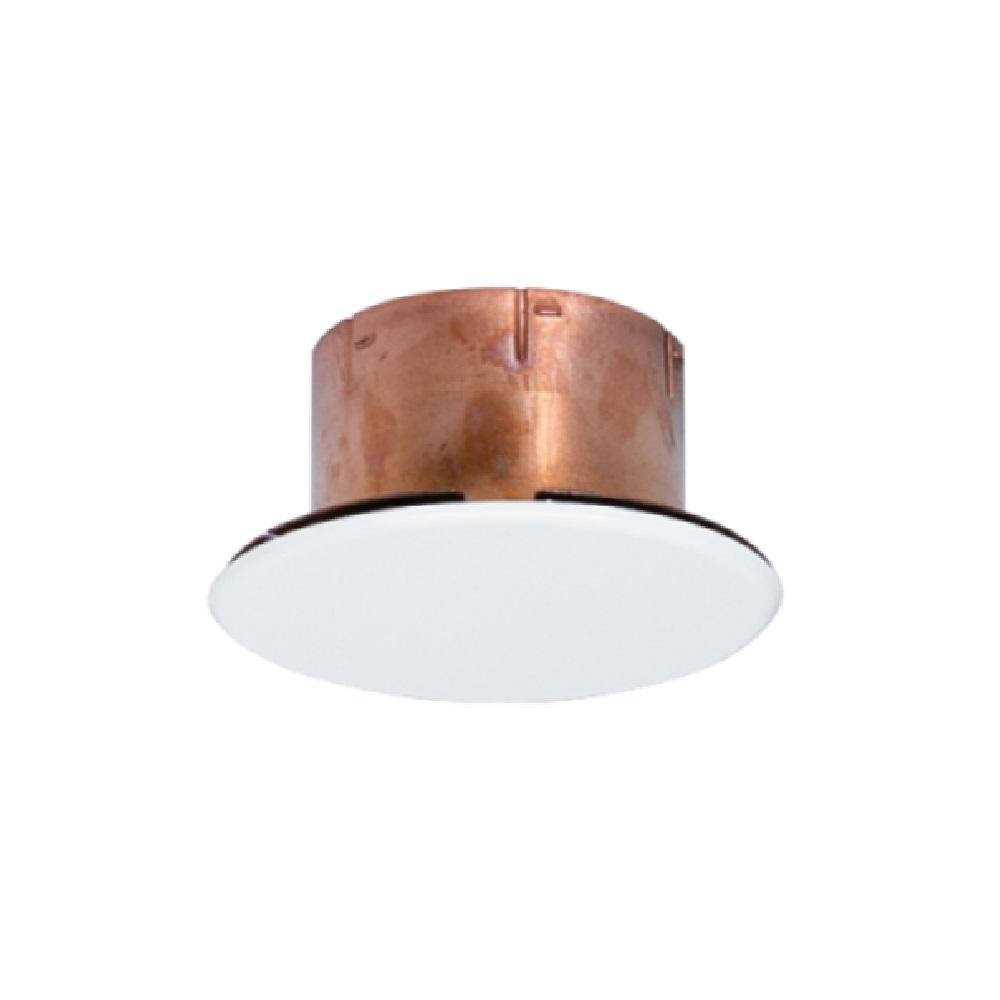 Concealed Fire Sprinkler