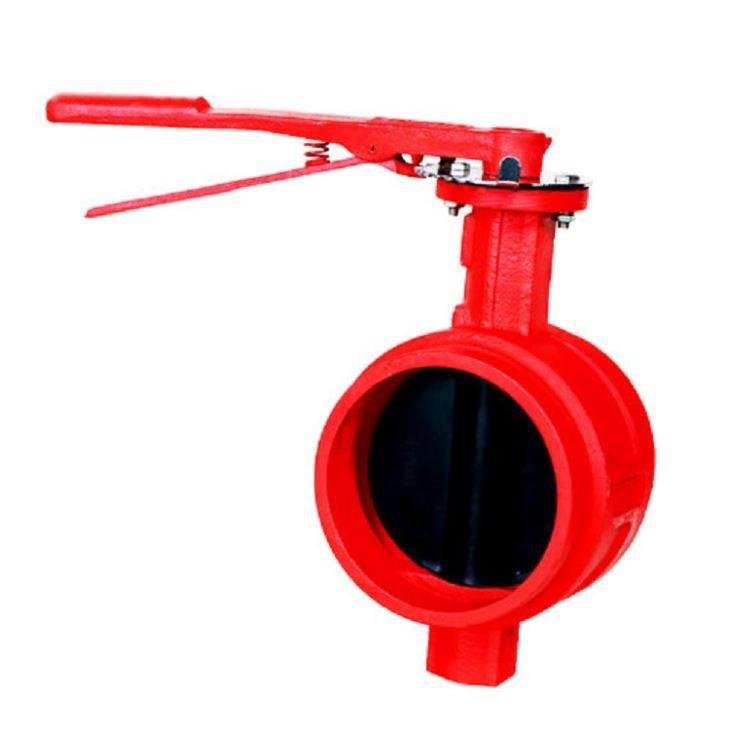 Fire Fighting Valves & Accessories